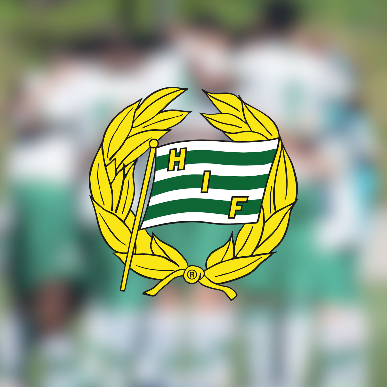 Hammarby IF Ungdom